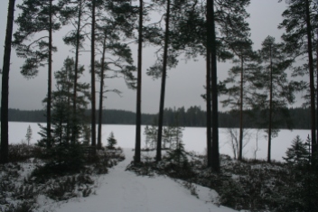Haukijärvi
