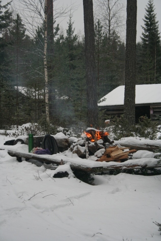 Fireplace by Haukijärvi