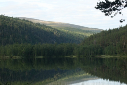 Lemmenjoki National park