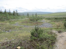 Trail near Kiilopää