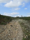Trail on Kiilopää