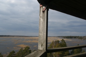 Puurijärvi bird watching tower